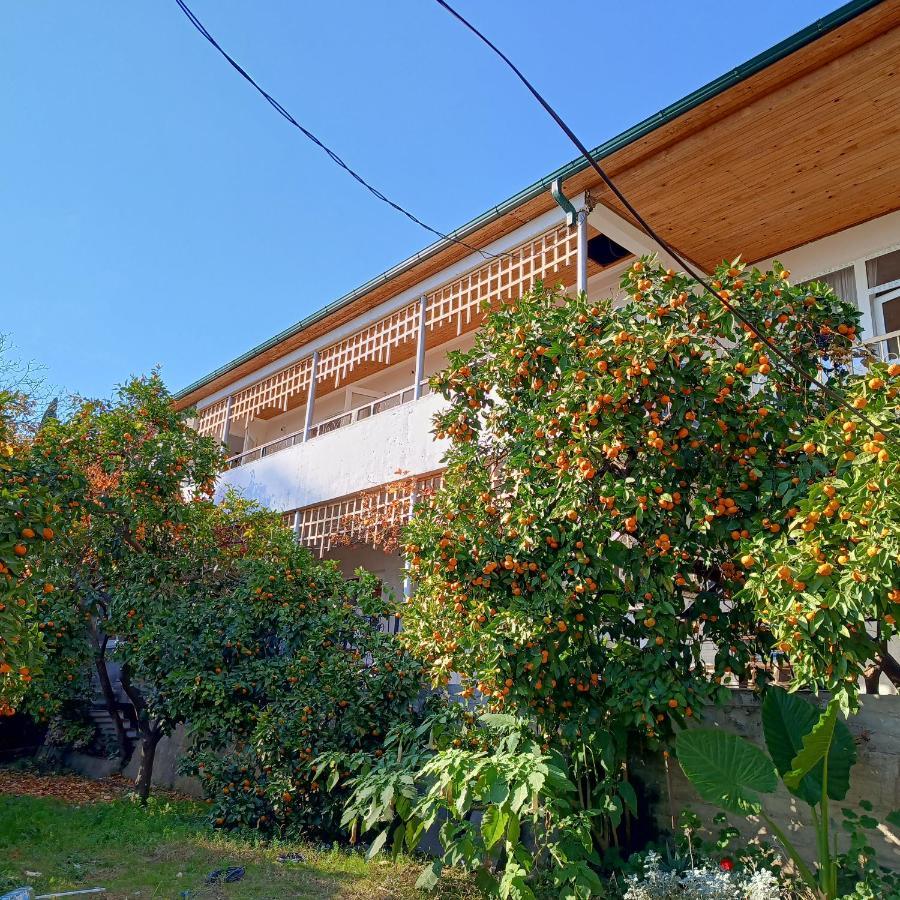 Inzhir Guest House New Athos 외부 사진