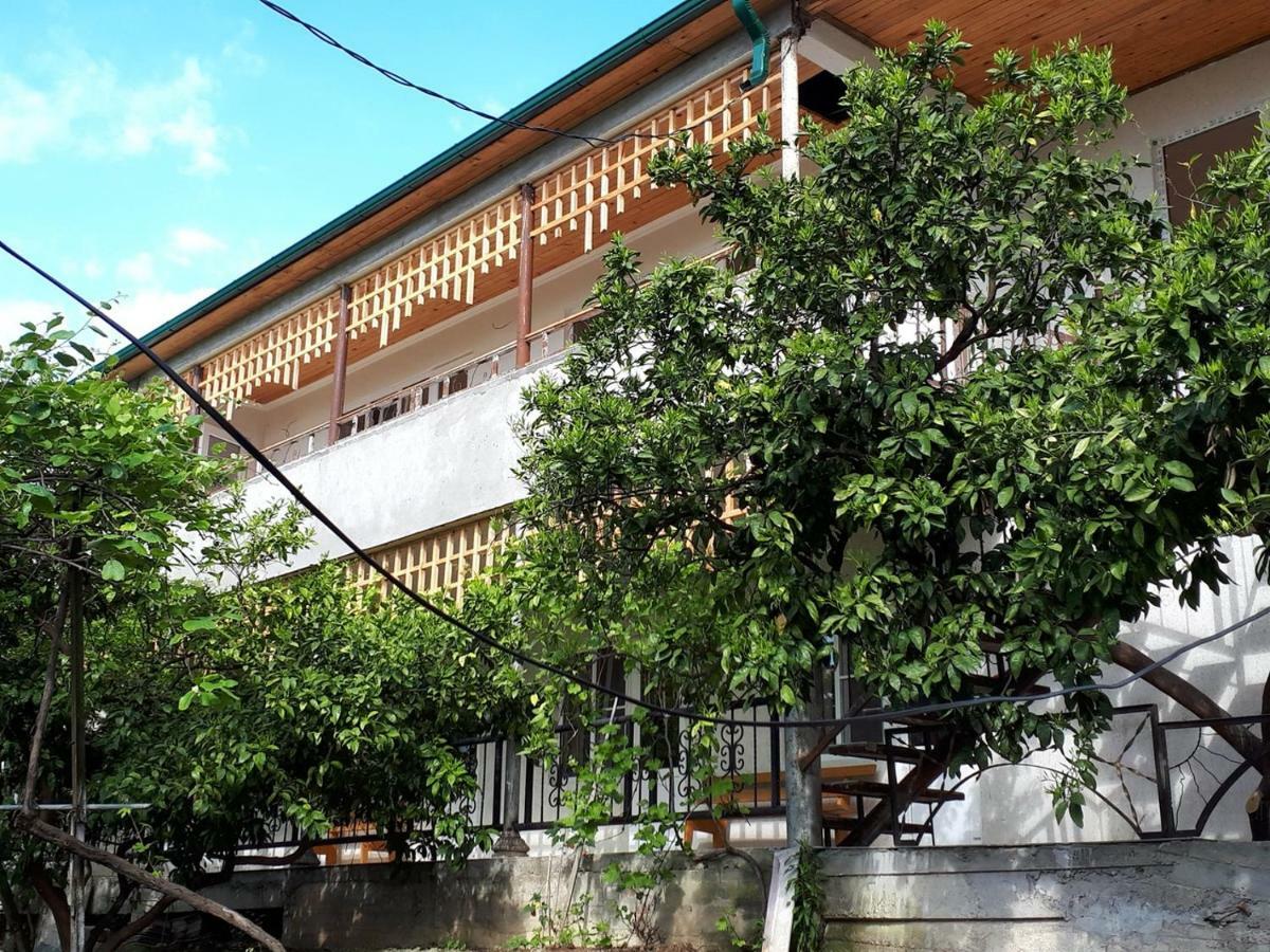 Inzhir Guest House New Athos 외부 사진